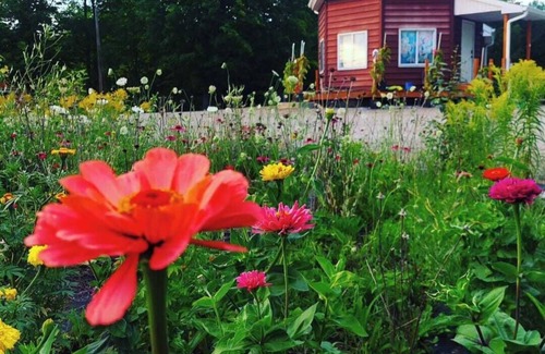 Alpena House | The Octagon - Country Chic-2-BR house on US-23N in N. Alpena/Presque Isle.