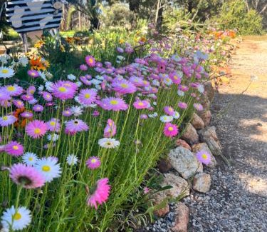 Dalwallinu Bed & Breakfast | Welcoming Stay at The Old Convent Dalwallinu with Pool Access