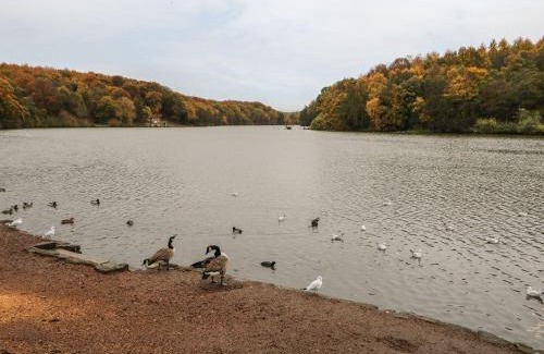Newmillerdam House | Charming Stay at The Old Dairy: Family-Friendly Getaway