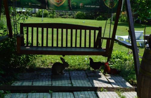 Polski Trambesh House | Pet-Friendly Stay at The Old House Guest House