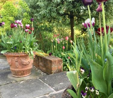 Kettlebaston Bed & Breakfast | Experience The Old Rectory in Kettlebaston - 9/10 Rated Stay