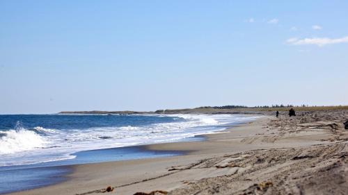 Musgrave Harbour House | Serene Oceanfront Stay at The Old Salt Box Co. - Aunt Donna's