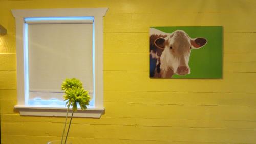Newfoundland House | Child-Friendly Retreat at The Old Salt Box Co. - Daisy's Place
