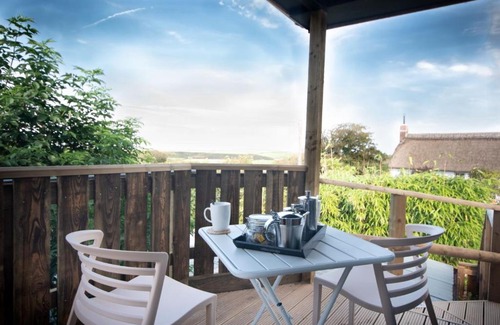 Bideford Hotel | Discover The Old Smithy Inn: Pet-Friendly & Family-Approved