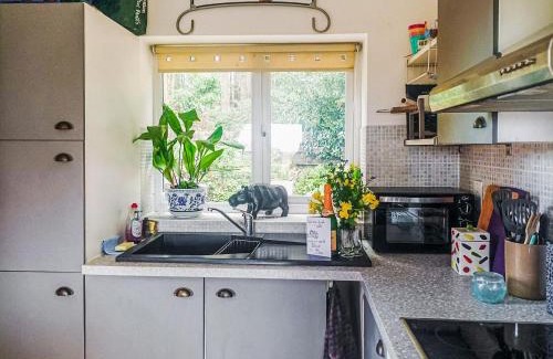 Ebford House | Historic Comfort at The Old Telephone Exchange Hotel