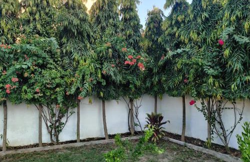 Sirmour House | Experience The Olive Greens: Family-Friendly with Breakfast
