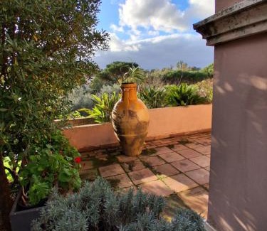 Cassia Villa | Exceptional Stay at The Olive Grove Roma Guest House