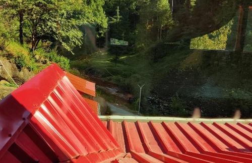 Rajgarh Bed & Breakfast | Budget-Friendly Stays at The Orchard - Child Friendly Haven