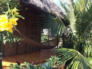Kantharawichai Resort | Relax at The Orchid Resort: Pet-Friendly Oasis Awaits