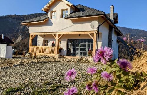 Moieciu House | Welcome to The Origin: Mountain Guesthouse in Magura