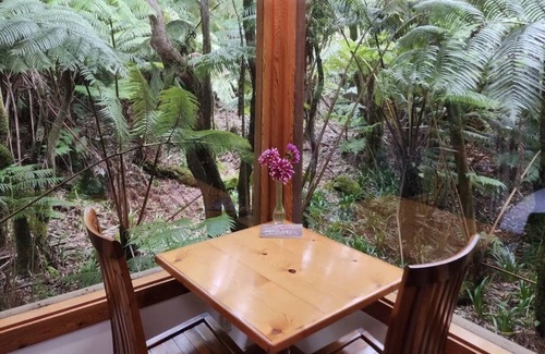 Volcano Apartment | Discover The Pacifica Inn: Ocean View Rooms and Kitchenette