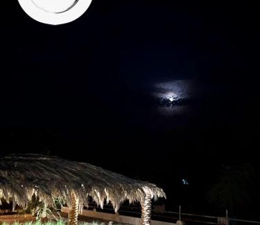 Al Ain House | Oceanfront Bliss at The Palme Resort: A 4-Star Retreat