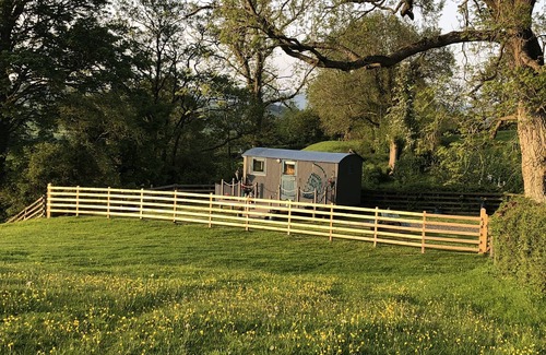 Corwen Cabin | Inviting Stay at The Peacock Shepherds Hut - 9.6/10 Rated
