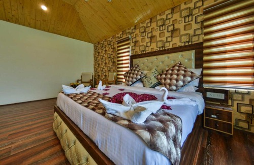 Brein Hotel | Discover The Pearl Continental: Pet-Friendly & Pool Access