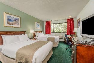 Newport East Hotel | Elegant Stay at The Pell, Part of JdV by Hyatt