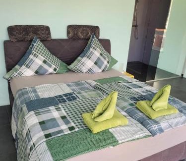 Kaiserslautern Apartment | Elegant The Penthouse: Pet-Friendly Retreat with Top Amenities