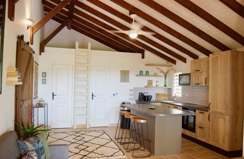Bellevue Cottage | Discover The Perch: A Unique Jungle Oasis Retreat