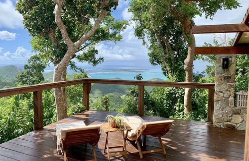 Bellevue Cottage | Discover The Perch: A Unique Jungle Oasis Retreat