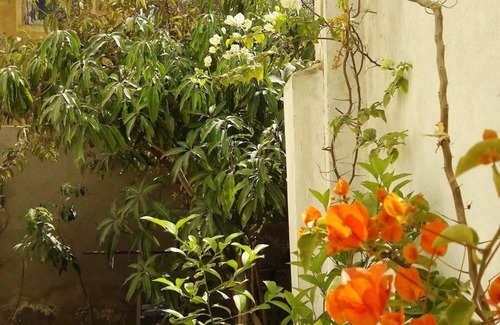 Tamiyah Villa | Escape to Tranquility: Your Ideal Retreat Awaits
