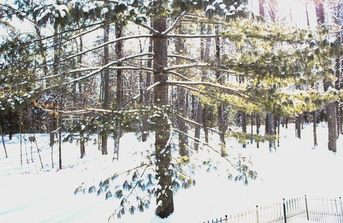 Greenbush House | The Perfect Up North Getaway