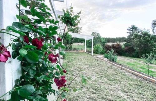 Bywong House | Cozy Pine Tree Cottage Near Canberra with Fireplace & Breakfast