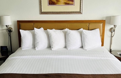Owosso Hotel | Eco-Friendly Stay at The Pines Country Inn - 9.2/10 Rated