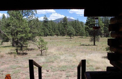 Jemez Springs Cabin | Idyllic Log Cabin Escape at 'The Pines' in Jemez Mountains