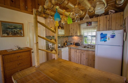 North Palmetto Point Cottage | Beachfront Pink Sand Cottage: Pet Friendly & Ocean Views