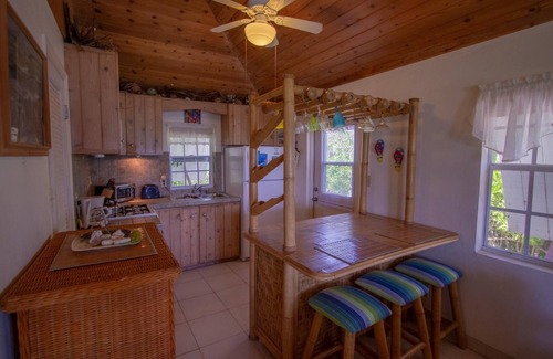 North Palmetto Point Cottage | Beachfront Pink Sand Cottage: Pet Friendly & Ocean Views