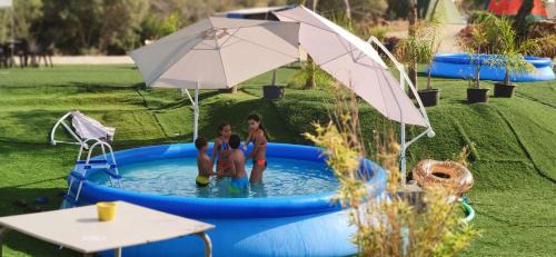 Pata de Cima Other | Discover The Place: Pet Friendly with Oceanfront Views