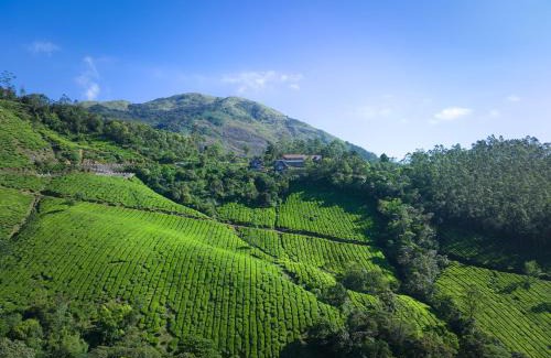 Suryanelli Resort | Discover The Planet Munnar: Family-Friendly Retreat with Pool
