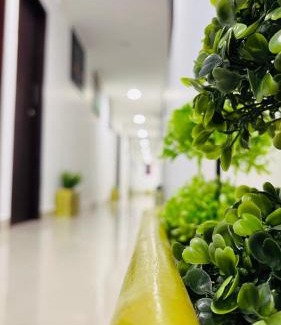 Kalapettai Hotel | THE PLAZA, Very Close to Indira Gandhi Square, Near Sri Kamatchi Hotel, 100 feet Road, PONDICHERRY - JR Groups