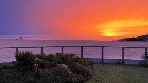 Plettenberg Bay House | Experience The Plett Shed: Oceanfront Bliss Awaits