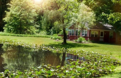 Austinburg Cabin | Serene Pond Cottage: Guest Rated 9.8 in Wine Country
