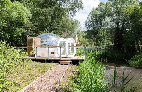 Festubert Cabin | Unforgettable Nights at The Pond: A Unique Escape