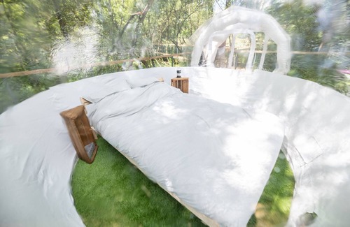 Festubert Cabin | Unforgettable Nights at The Pond: A Unique Escape