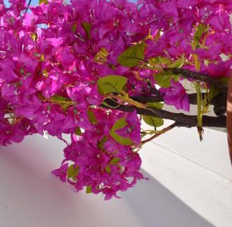 Kalithies House | Unforgettable Stay at The Priest's Traditional House Kalithies