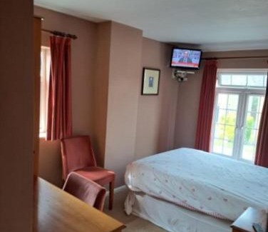 Hilton Hotel | Discover The Prince of Wales: Pet-Friendly Retreat Awaits