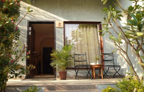 Sawai Madhopur Resort | Wildlife Retreat at TreeHouse The Pugmark with Ocean Views
