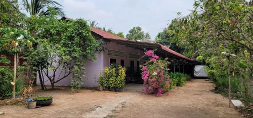 Siem Reap House | Perfect Family Retreat at The Purple House - 10/10 Rated
