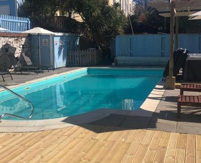Torquay Hotel | Experience The Purple Tree Guest House with Ocean Views