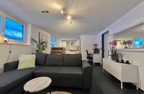 Obergosgen Apartment | Experience The R Apartment Froburg with Parking & Netflix