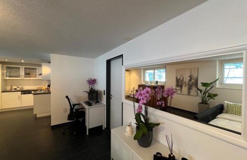 Obergosgen Apartment | Experience The R Apartment Froburg with Parking & Netflix