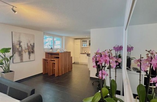 Obergosgen Apartment | Experience The R Apartment Froburg with Parking & Netflix