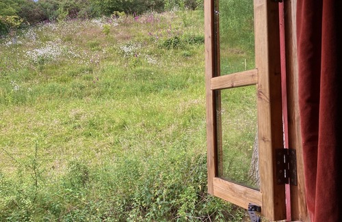 Llanbedr-dyffryn-clwyd Cabin | Cozy Woodland Cabin with Ocean Views & Spa - 10/10 Rated
