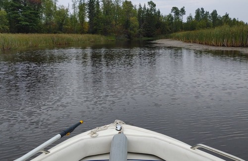 Ray Cabin | Discover The River Retreat: A Private Wooded Escape