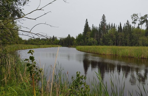 Ray Cabin | Discover The River Retreat: A Private Wooded Escape