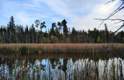 Ray Cabin | Discover The River Retreat: A Private Wooded Escape