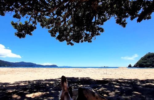 Tuateawa House | Relax at The Rock: Oceanfront Paradise with Private Beach