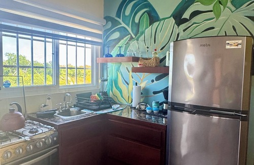 Caye Caulker Apartment | Breathtaking Rooftop Views with Oceanfront Amenities